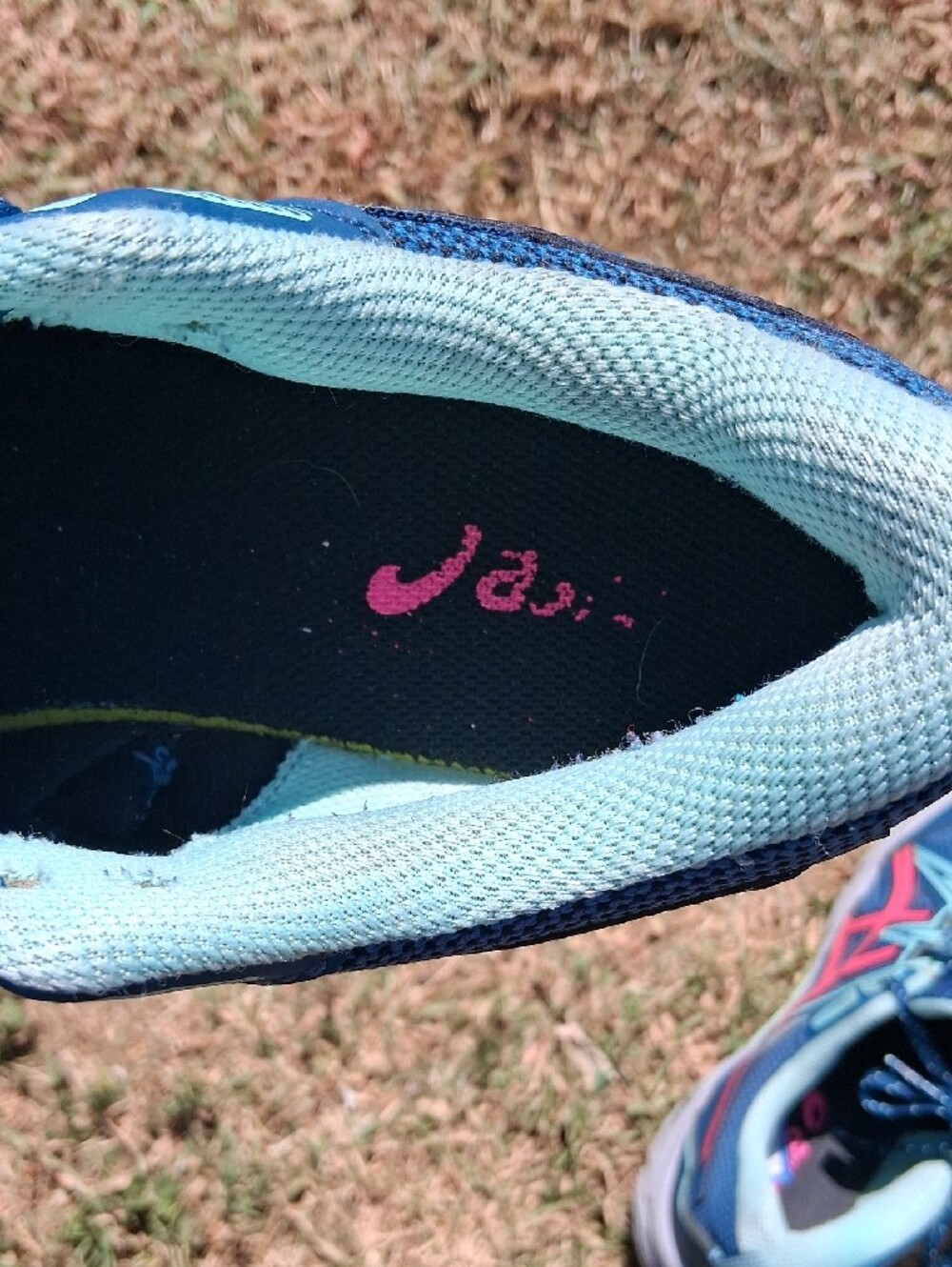 ASICS Gel Venture 8 Women's Blue Shoes with Pink Accents - Picture 12 of 12